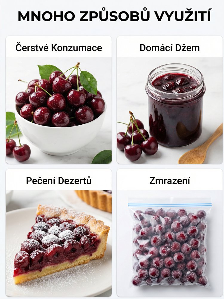 【Lze vysazovat ve všech ročních obdobích】Dovezená semena chilské třešně✨️Míra přežití je 99,99 %